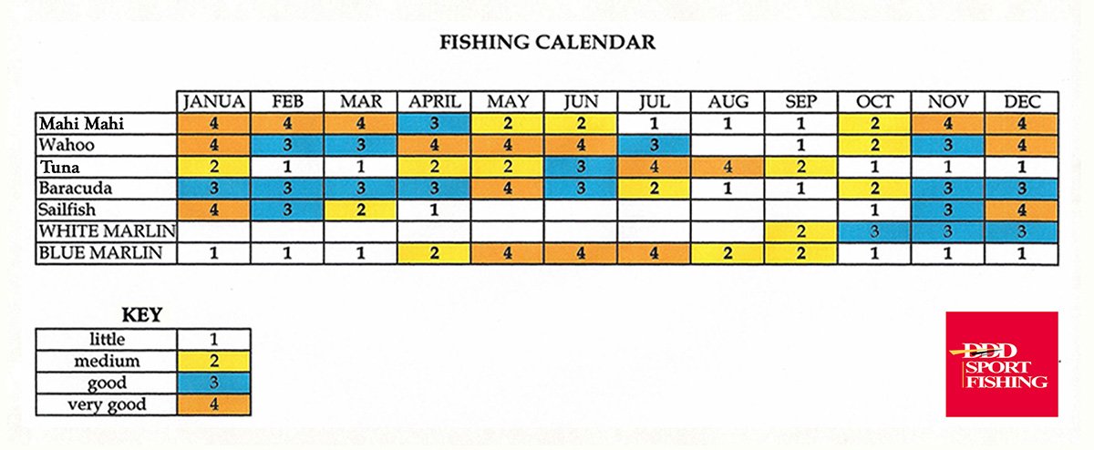 Types of Fishes : Yearly Fishing Calendar for Samana Bay Dominican Republic